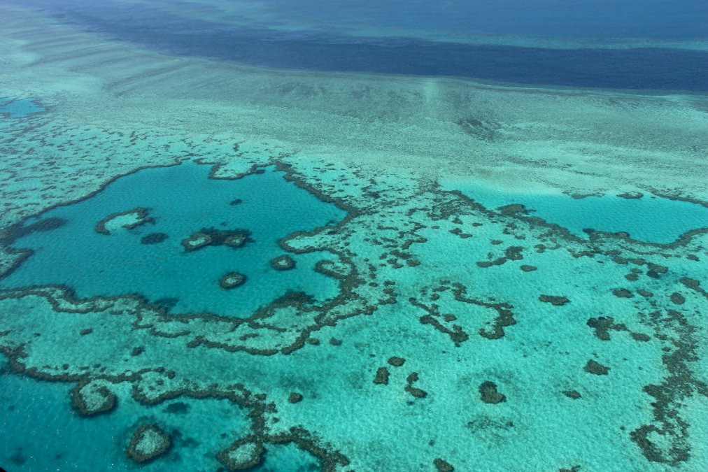 grande-barriere-de-corail-« en-danger »-pour-l&rsquo;unesco,-l&rsquo;australie-prete-a-contester