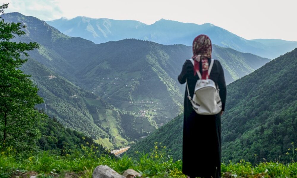 turquie:-des-villageois-defient-erdogan-pour-proteger-la-foret