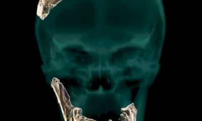 une-nouvelle-espece-d&rsquo;homme-prehistorique-decouverte-en-israel