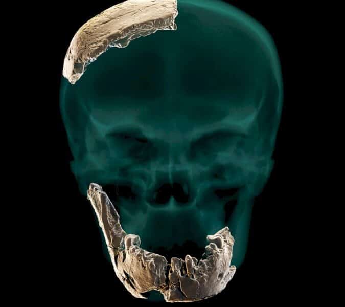 une-nouvelle-espece-d&rsquo;homme-prehistorique-decouverte-en-israel