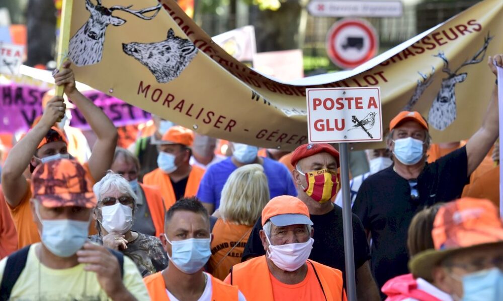 la-chasse-a-la-glu-declaree-illegale-par-la-justice