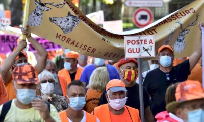 la-chasse-a-la-glu-declaree-illegale-par-la-justice