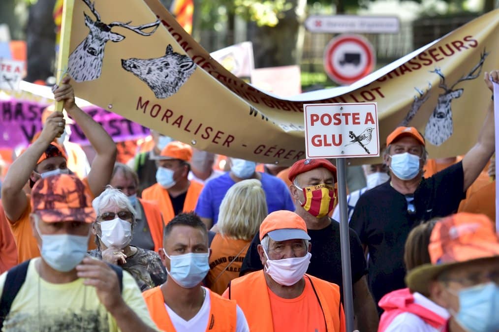 la-chasse-a-la-glu-declaree-illegale-par-la-justice