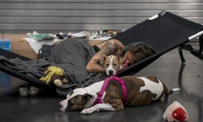 un-« dome-de-chaleur »-historique-frappe-le-grand-ouest-du-canada-et-des-etats-unis