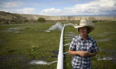 les-cowboys-du-colorado-sous-pression-climatique-et-sociale