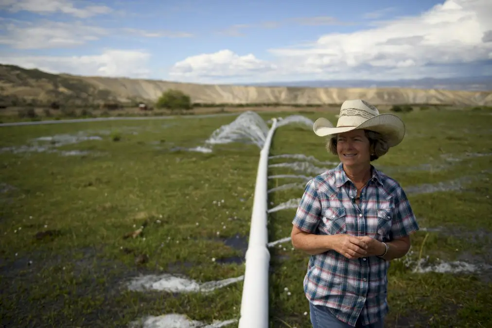 les-cowboys-du-colorado-sous-pression-climatique-et-sociale