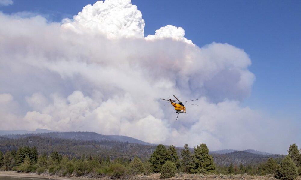 chaleur,-secheresse,-foudre-et-donc-incendies:-l&rsquo;ouest-americain-s&rsquo;attend-au-pire