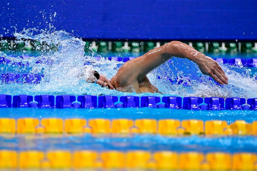 six-nageurs-polonais-prives-des-jo-2020-a-cause-d&rsquo;une-erreur-administrative