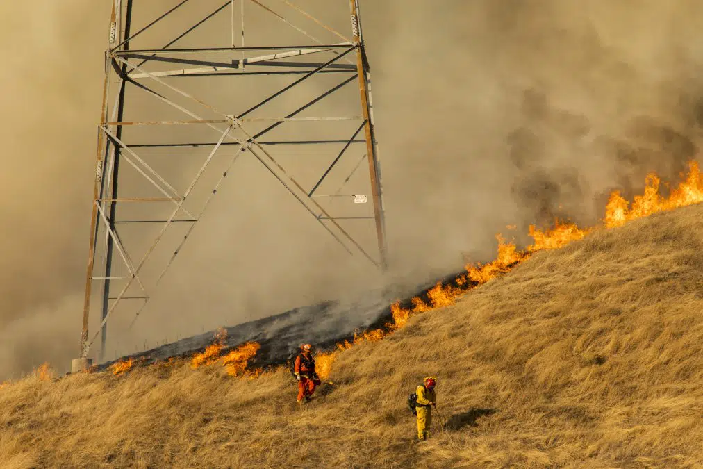 ravagee-par-les-incendies,-la-californie-sommee-de-moderniser-ses-infrastructures