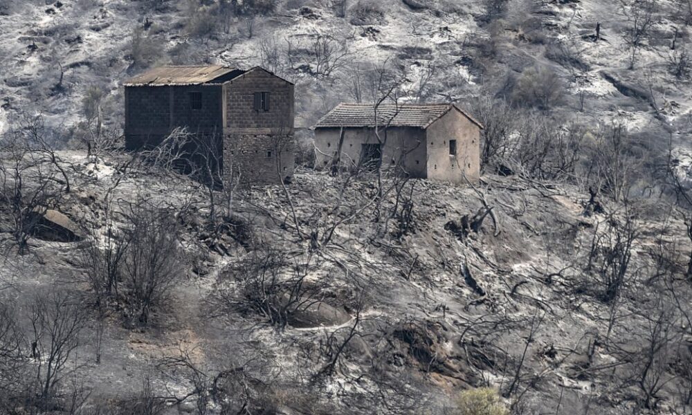 algerie:-69-morts-dans-les-incendies-toujours-en-cours