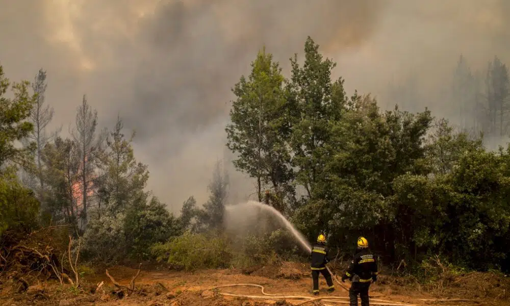 les-incendies-en-grece-maitrises,-selon-les-pompiers