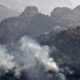 l&rsquo;algerie-combat-encore-les-feux-de-forets,-le-bilan-s&rsquo;alourdit