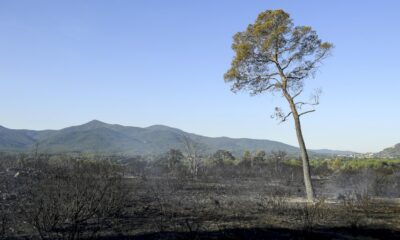 violent-feu-sur-la-cote-d&rsquo;azur,-des-milliers-de-personnes-evacuees