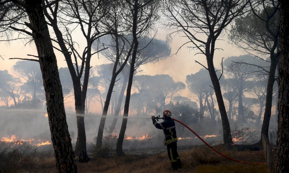 cote-d’azur:-1.200-pompiers-toujours-a-pied-d’oeuvre-pour-eteindre-l’incendie