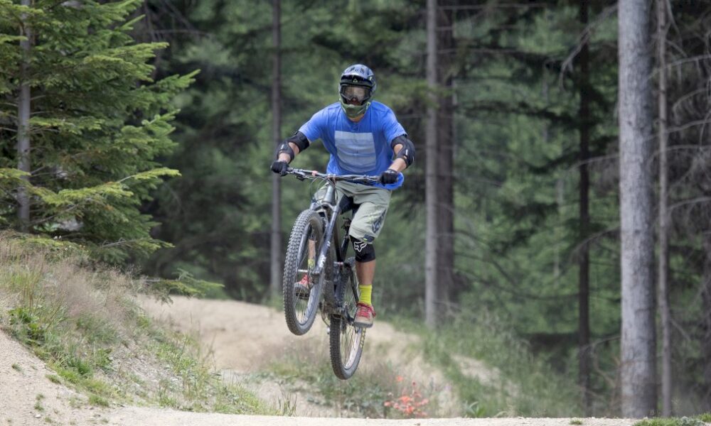face-au-defi-climatique,-la-reconversion-d&rsquo;un-village-des-alpes-autrichiennes