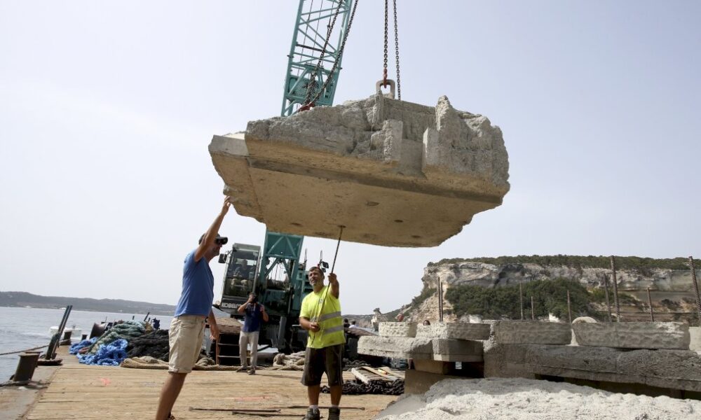 en-corse,-preserver-la-fragile-posidonie-face-aux-grands-yachts
