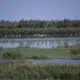 au-coeur-de-la-camargue,-un-laboratoire-de-meilleures-pratiques-entre-la-nature-et-l’homme