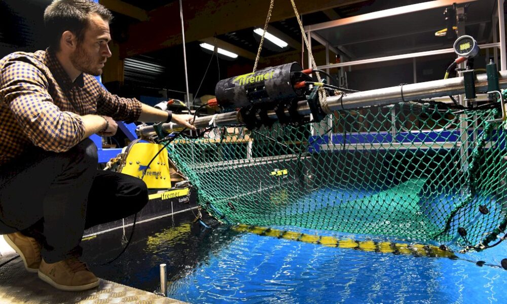 des-filets-de-peche-intelligents-pour-reduire-les-captures-inutiles