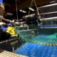 des-filets-de-peche-intelligents-pour-reduire-les-captures-inutiles
