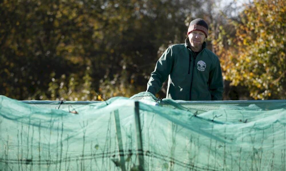 avec-l&rsquo;urgence-climatique,-le-defi-de-planter-des-arbres-en-angleterre