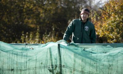avec-l&rsquo;urgence-climatique,-le-defi-de-planter-des-arbres-en-angleterre