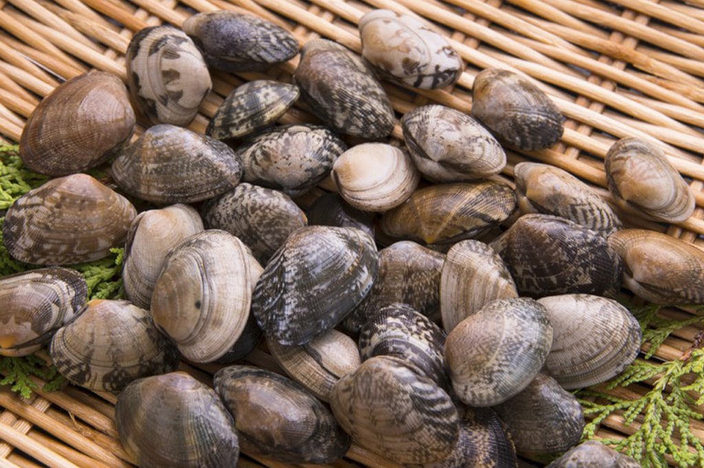 Thau : Levée de toutes les restrictions de récolte, de commercialisation et de consommation de tous les coquillages de l’étang