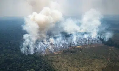 colombie:-des-feux-en-amazonie-mettent-la-capitale-sous-« alerte-environnementale »