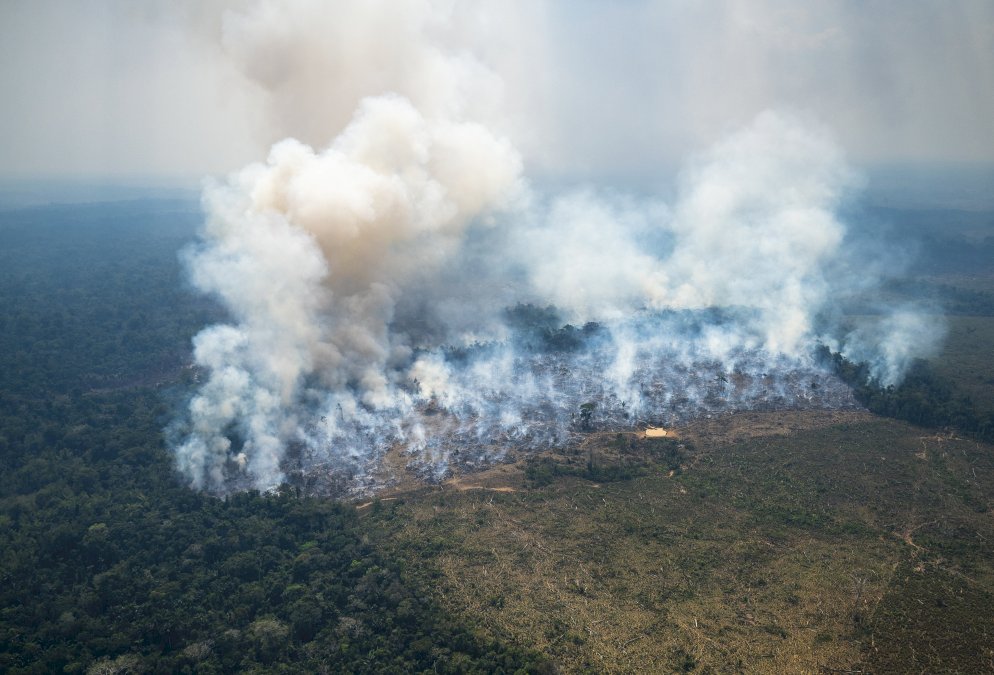 colombie:-des-feux-en-amazonie-mettent-la-capitale-sous-« alerte-environnementale »