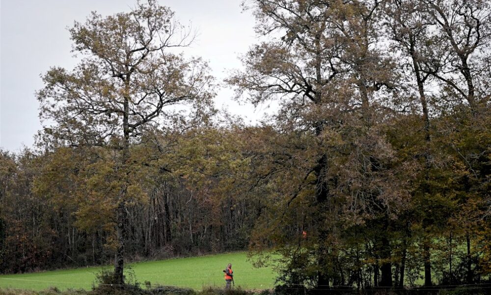 accident-de-chasse-mortel-dans-le-cantal:-l&rsquo;adolescente-mise-en-examen
