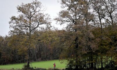 accident-de-chasse-mortel-dans-le-cantal:-l&rsquo;adolescente-mise-en-examen