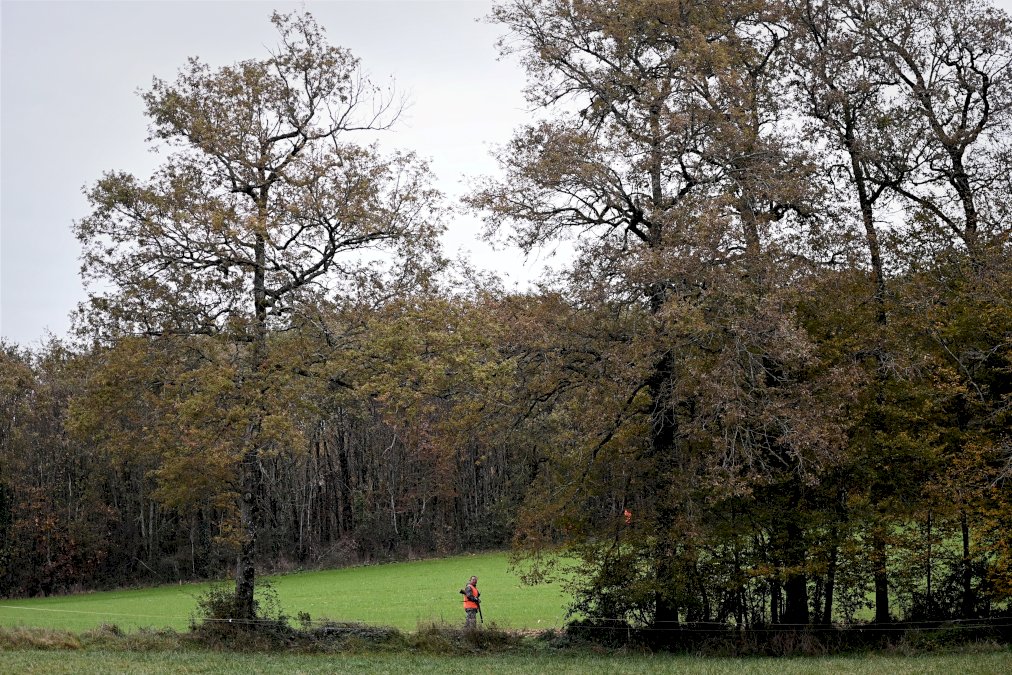 accident-de-chasse-mortel-dans-le-cantal:-l&rsquo;adolescente-mise-en-examen