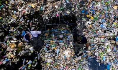 plastique:-moins-de-10%-recycle,-l’ocde-veut-une-reponse-« mondiale-coordonnee »