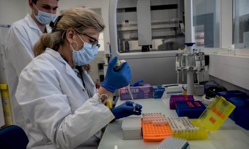 dans-un-laboratoire-francais,-le-grand-livre-ouvert-de-l&rsquo;adn