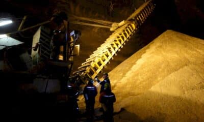 la-dependance-aux-engrais-russes,-une-epine-dans-le-sol-europeen