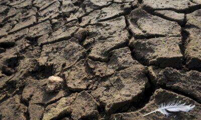 climat:-le-monde-etudie-les-solutions-pour-eviter-d&rsquo;aller-« les-yeux-fermes-vers-la-catastrophe »