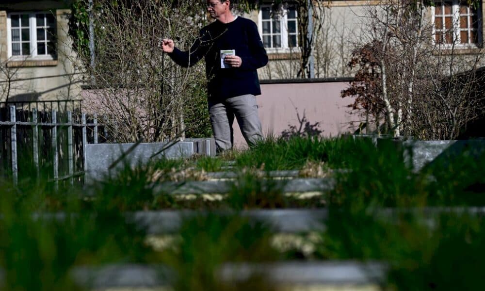 a-rennes,-un-pollinarium-« sentinelle »-pour-mieux-traiter-les-allergies