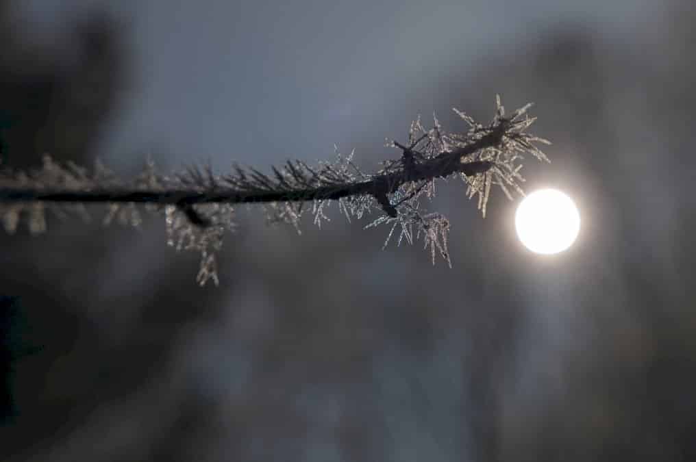 gel:-nuit-la-plus-froide-depuis-1947-pour-un-mois-d&rsquo;avril,-selon-meteo-france