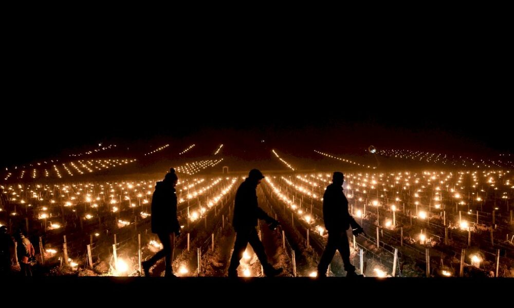 apres-un-record-de-froid-et-du-gel,-le-redoux-attendu-sur-les-vergers