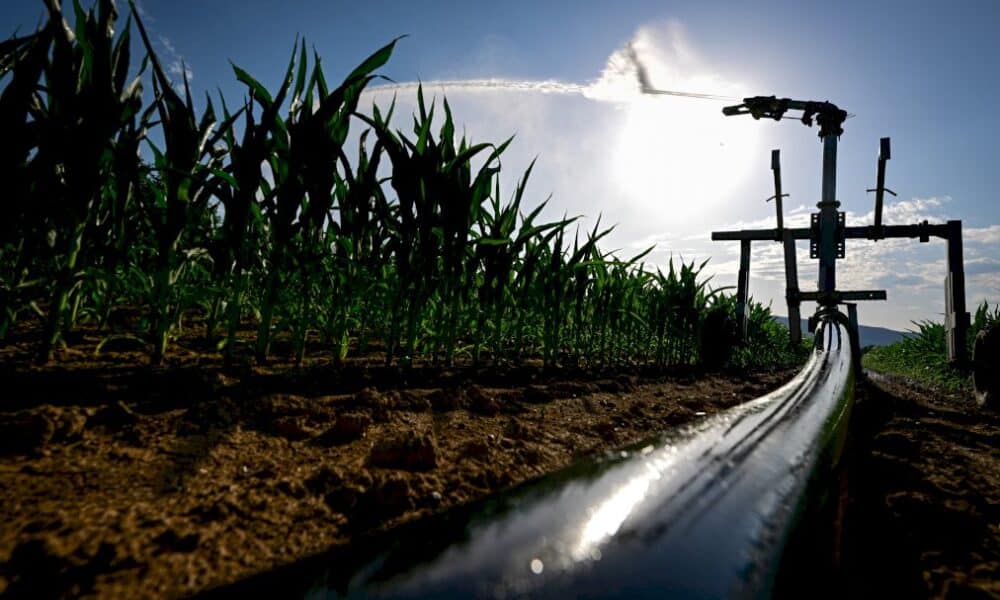 un-quart-de-la-france-touche-par-la-canicule
