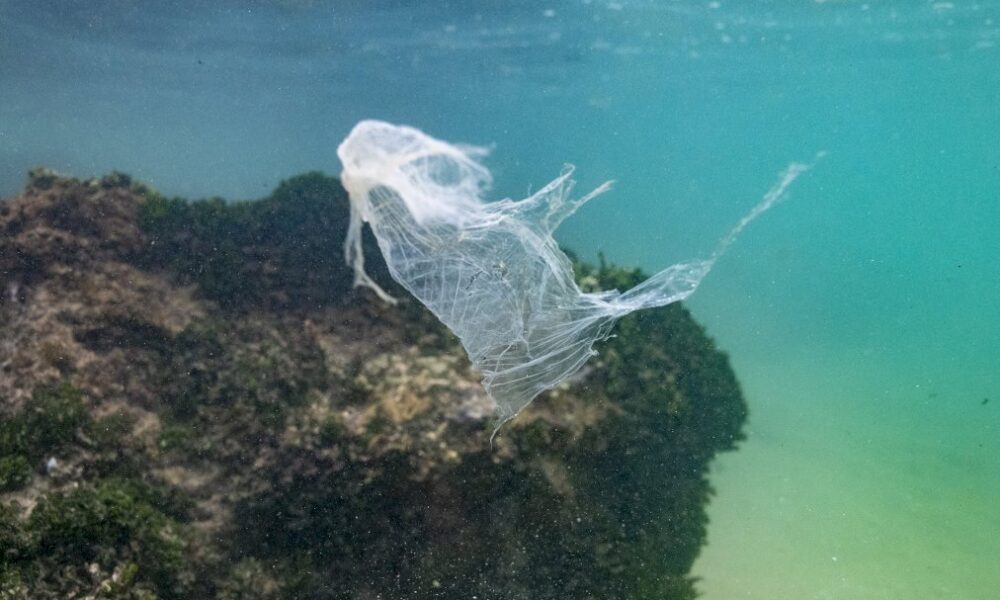 au-chevet-de-l&rsquo;ocean,-l&rsquo;onu-rassemble-decideurs,-experts-et-militants