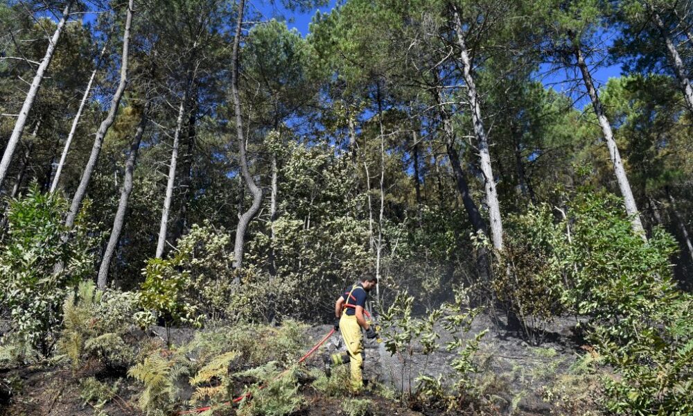 incendie-des-cevennes:-nuit-calme-sur-le-site-maintenu-sous-surveillance