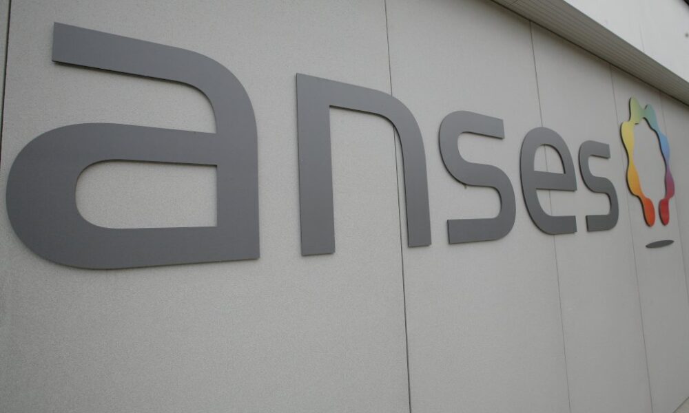 lien-confirme-entre-nitrites-et-risque-de-cancer,-un-« plan-d&rsquo;action »-a-l&rsquo;automne