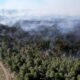 feux-de-foret-en-gironde:-3.700-hectares-brules-depuis-mardi