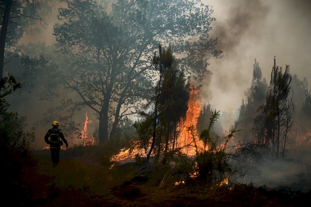 la-canicule-se-decale-a-l&rsquo;est,-17.000-hectares-brules-en-gironde