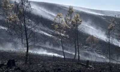 accalmie-sur-le-front-des-incendies-en-france,-en-espagne-et-au-portugal