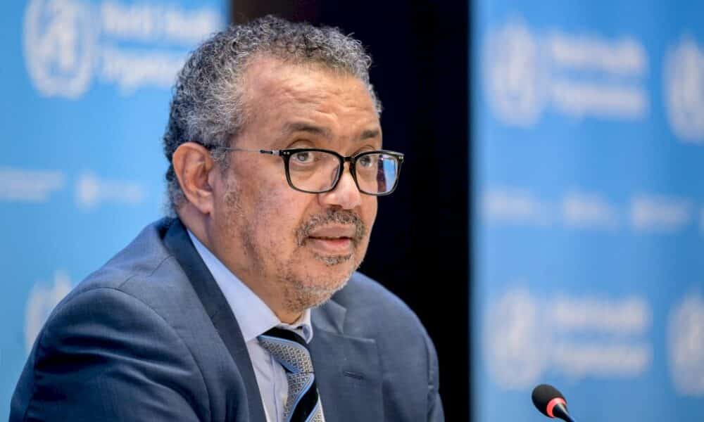 variole-du-singe:-l&rsquo;oms-lance-son-alerte-la-plus-elevee-et-met-en-garde-contre-toute-stigmatisation