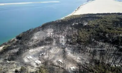 Des incendies en France en plein hiver : "La végétation ne se remet pas de la canicule de cet été"