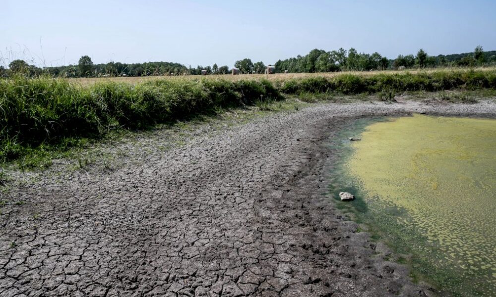 Sécheresse : 31 jours sans véritable pluie en France, record historique égalé