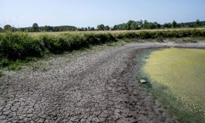 Sécheresse : 31 jours sans véritable pluie en France, record historique égalé