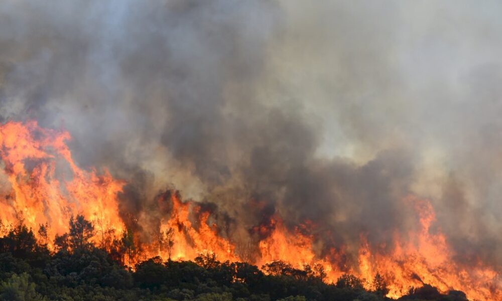 incendie-dans-l&rsquo;herault:-le-feu-« ne-progresse-plus »-apres-une-nuit-de-lutte